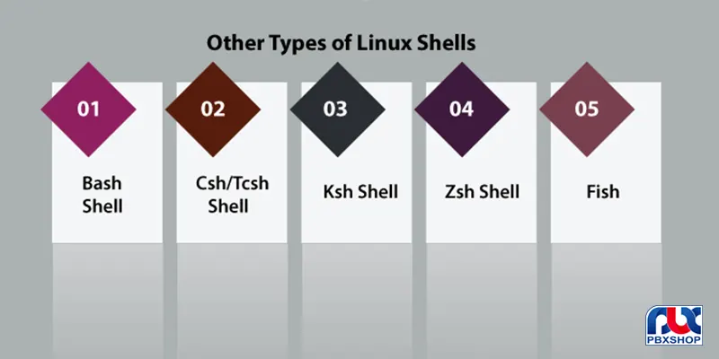 shell چیست و چه کاربردی دارد؟